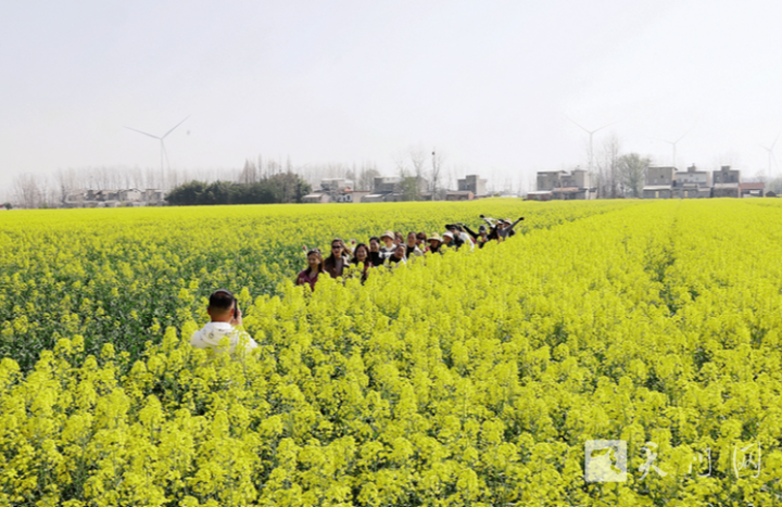油菜花海的浪漫邀約多祥鎮(zhèn)舉辦賞花交友主題活動(dòng)